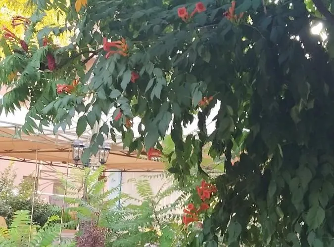 Shipka Слънчев бряг