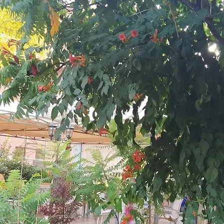 Shipka Sluneční pobřeží